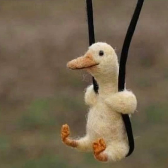 Meet your Posher, Jacqueline - Picture 1 of 1